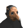 Plague Doctor Mask