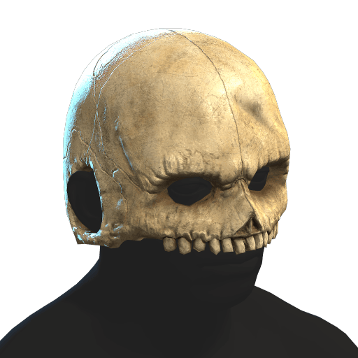 Skull Helmet