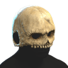 Skull Helmet