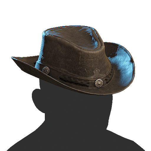 Cowboy Hat