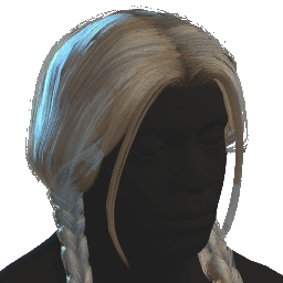 Braided Hair